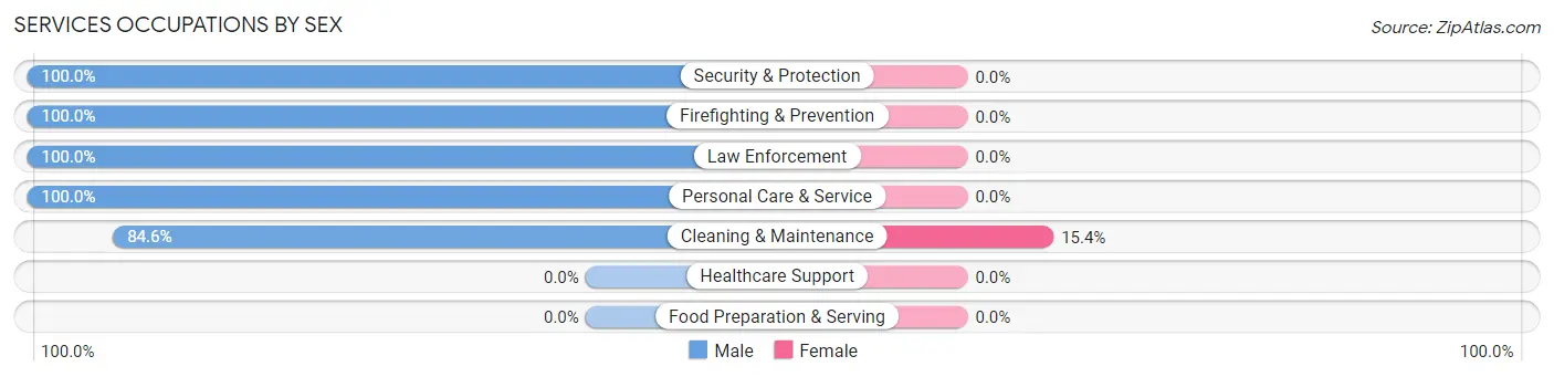 Services Occupations by Sex in Zip Code 19979