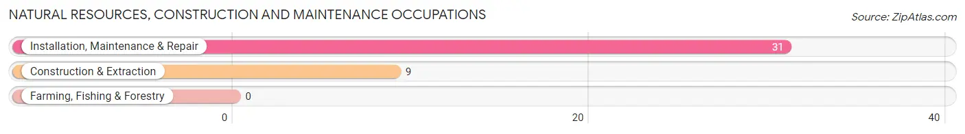 Natural Resources, Construction and Maintenance Occupations in Zip Code 19980