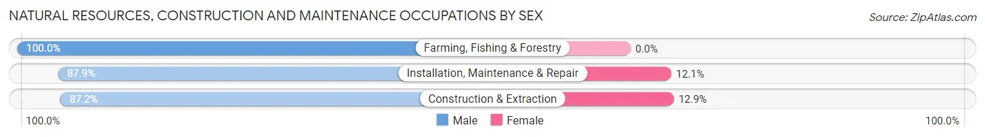 Natural Resources, Construction and Maintenance Occupations by Sex in Zip Code 20001