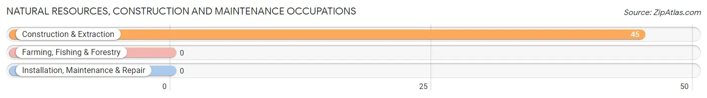 Natural Resources, Construction and Maintenance Occupations in Zip Code 20005