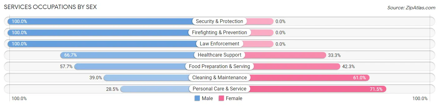 Services Occupations by Sex in Zip Code 20008