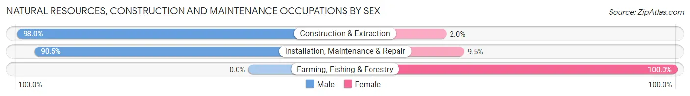 Natural Resources, Construction and Maintenance Occupations by Sex in Zip Code 20011