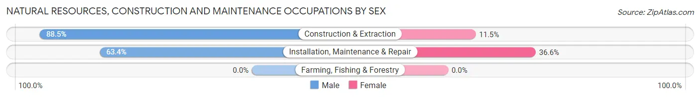 Natural Resources, Construction and Maintenance Occupations by Sex in Zip Code 20020