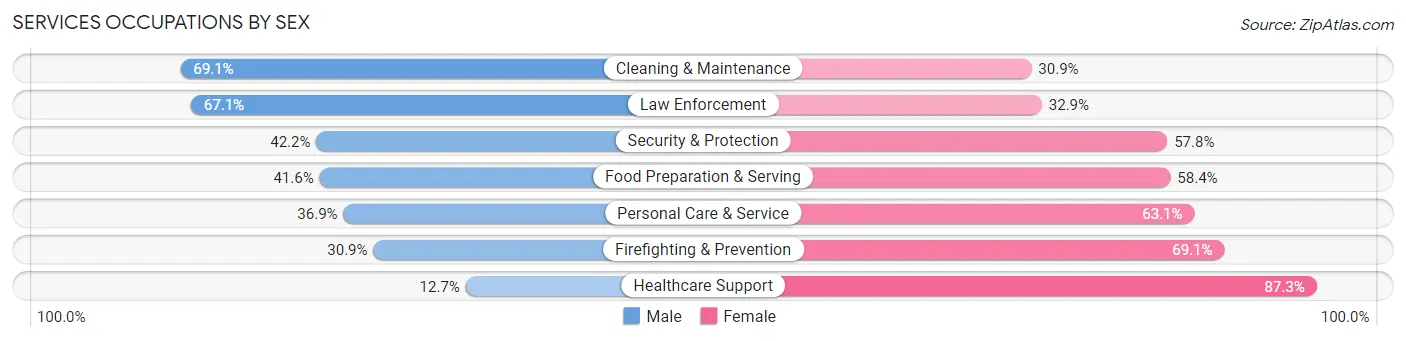 Services Occupations by Sex in Zip Code 20020
