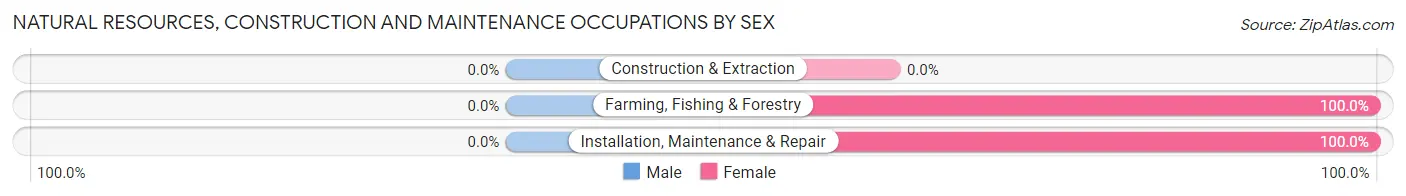 Natural Resources, Construction and Maintenance Occupations by Sex in Zip Code 20057