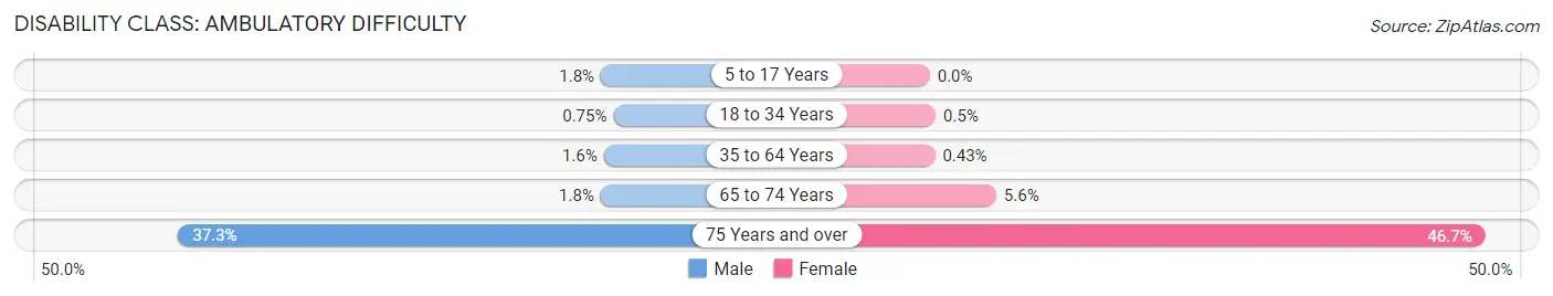 Disability in Zip Code 20105: <span>Ambulatory Difficulty</span>