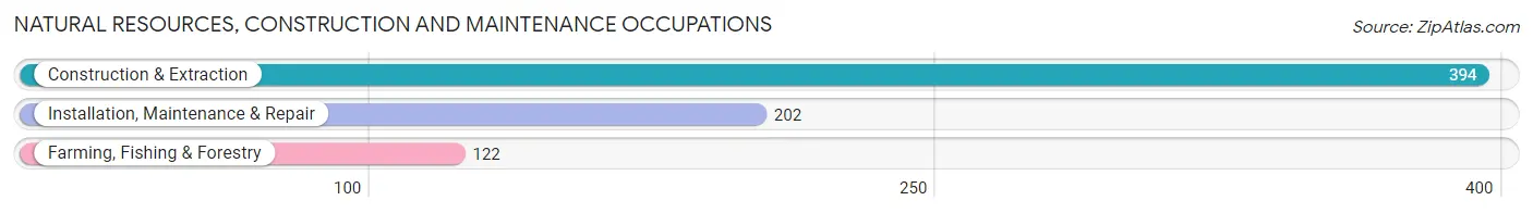 Natural Resources, Construction and Maintenance Occupations in Zip Code 20105