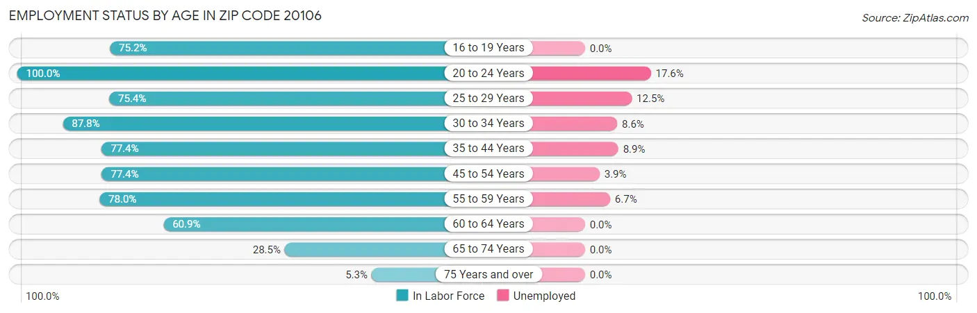 Employment Status by Age in Zip Code 20106