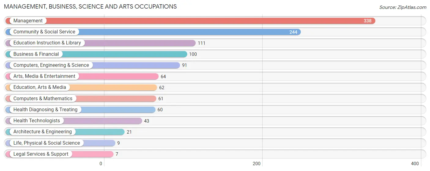 Management, Business, Science and Arts Occupations in Zip Code 20106