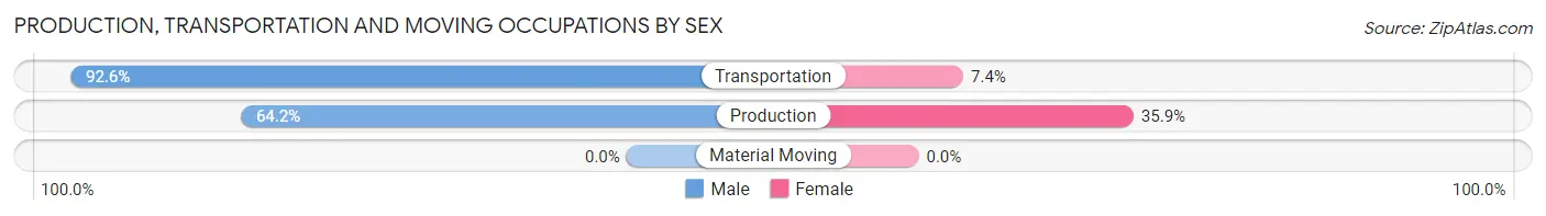 Production, Transportation and Moving Occupations by Sex in Zip Code 20106