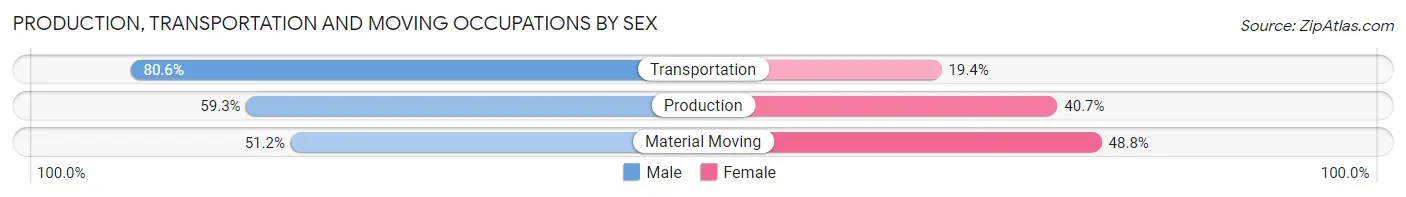 Production, Transportation and Moving Occupations by Sex in Zip Code 20109