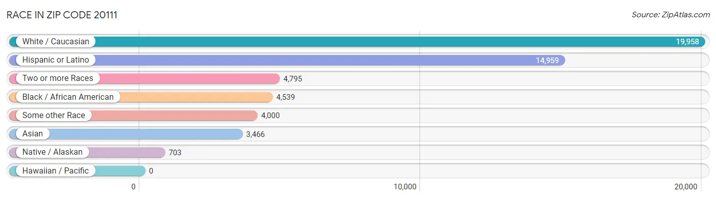 Race in Zip Code 20111