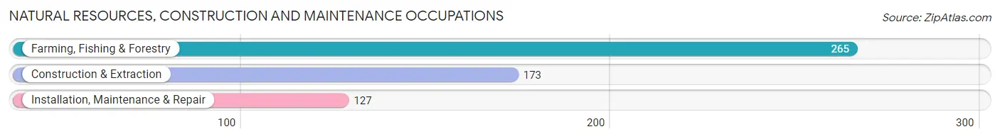 Natural Resources, Construction and Maintenance Occupations in Zip Code 20115