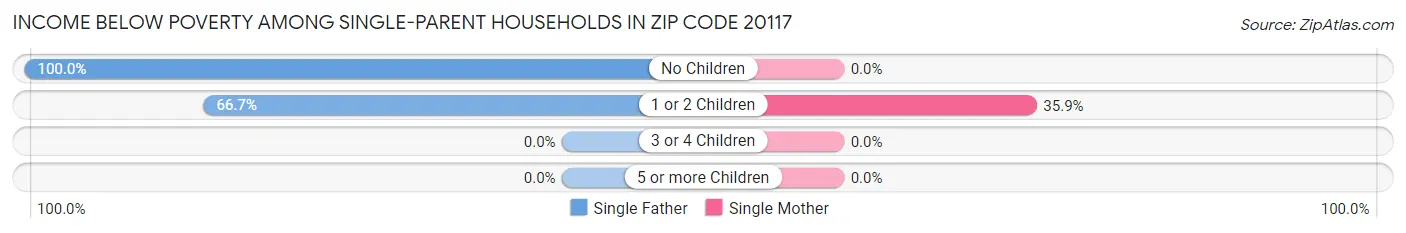 Income Below Poverty Among Single-Parent Households in Zip Code 20117