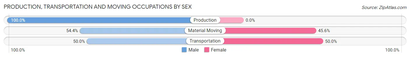 Production, Transportation and Moving Occupations by Sex in Zip Code 20119