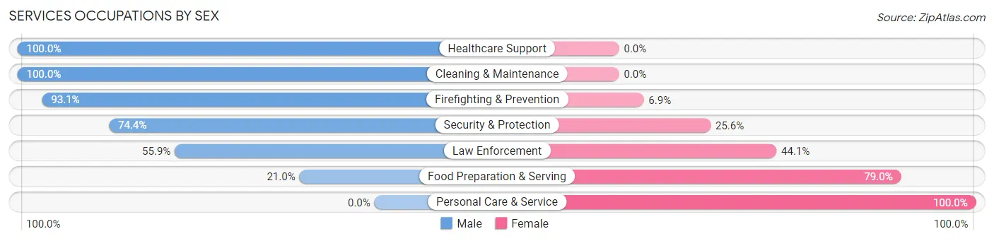 Services Occupations by Sex in Zip Code 20119