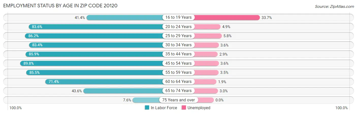 Employment Status by Age in Zip Code 20120