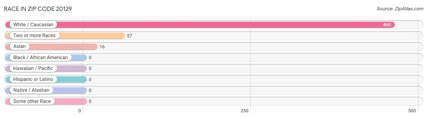 Race in Zip Code 20129