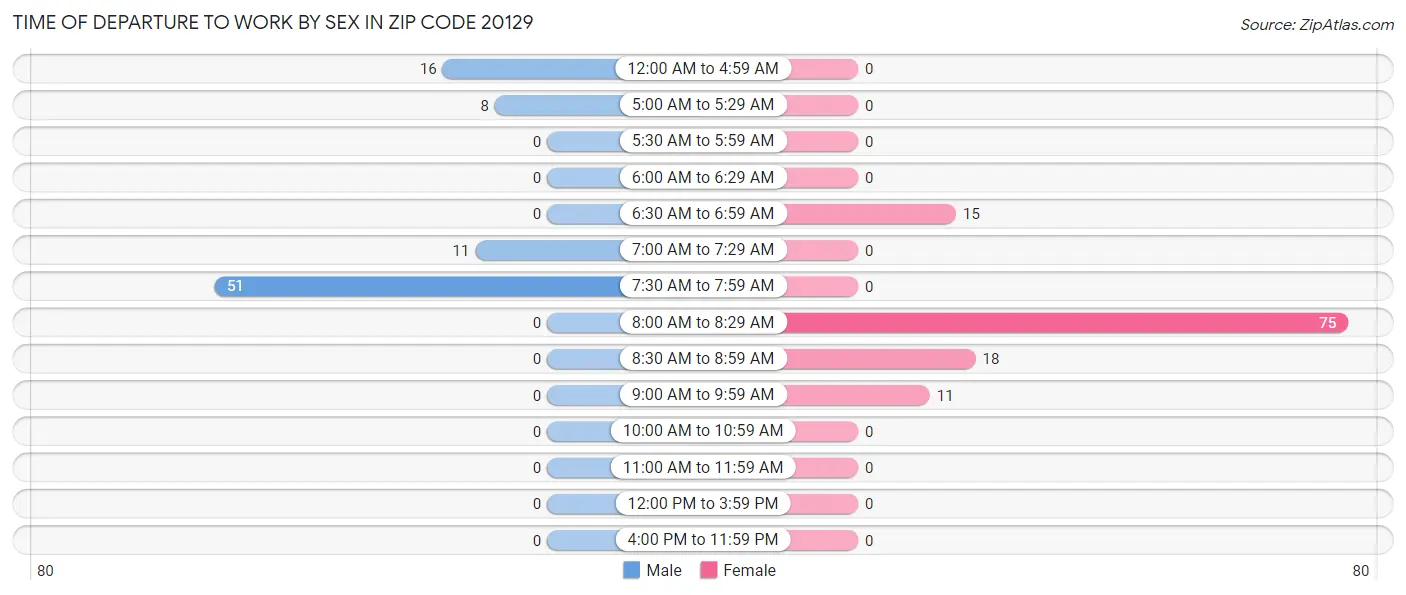 Time of Departure to Work by Sex in Zip Code 20129