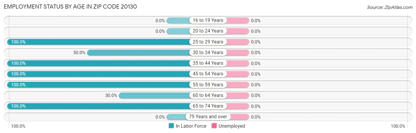 Employment Status by Age in Zip Code 20130