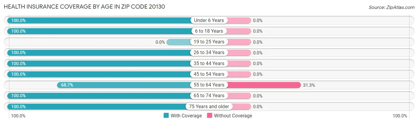 Health Insurance Coverage by Age in Zip Code 20130