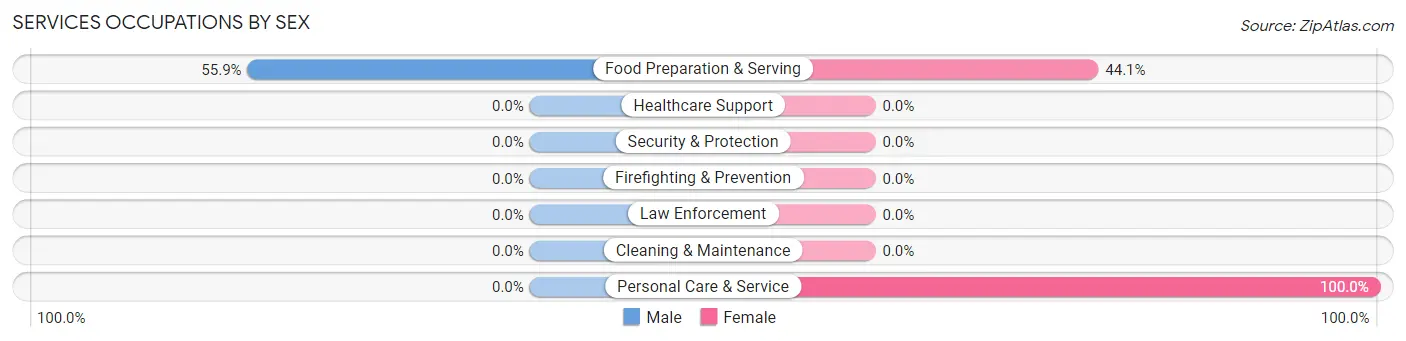 Services Occupations by Sex in Zip Code 20130