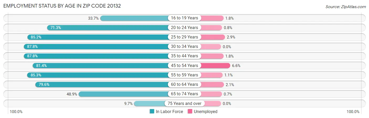 Employment Status by Age in Zip Code 20132