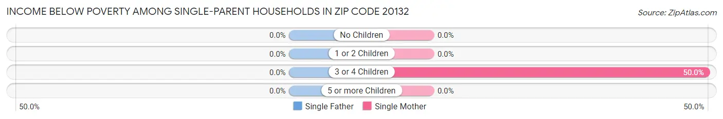 Income Below Poverty Among Single-Parent Households in Zip Code 20132