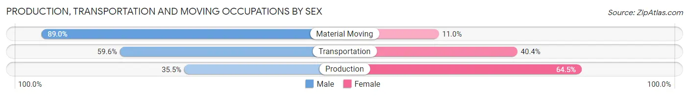 Production, Transportation and Moving Occupations by Sex in Zip Code 20132