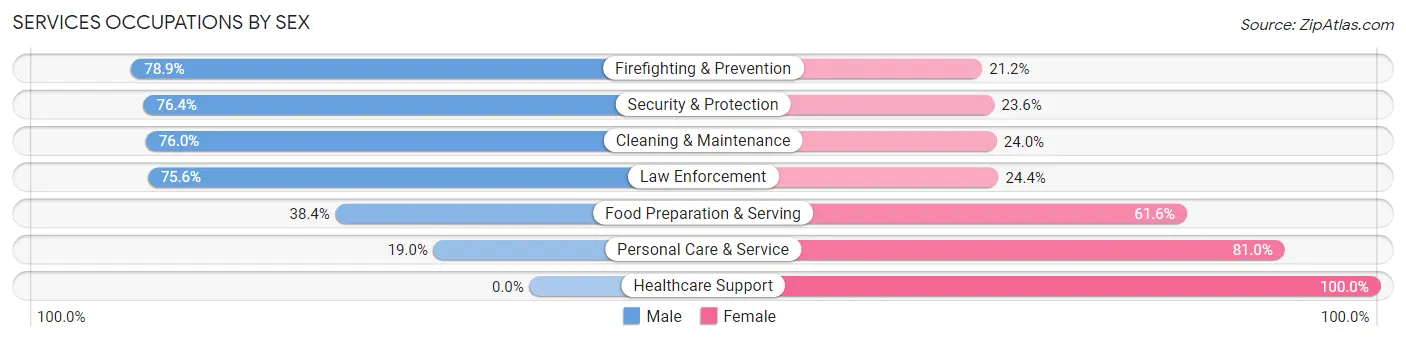 Services Occupations by Sex in Zip Code 20132