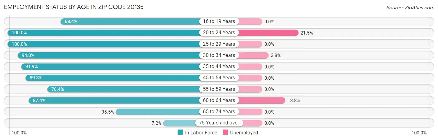Employment Status by Age in Zip Code 20135