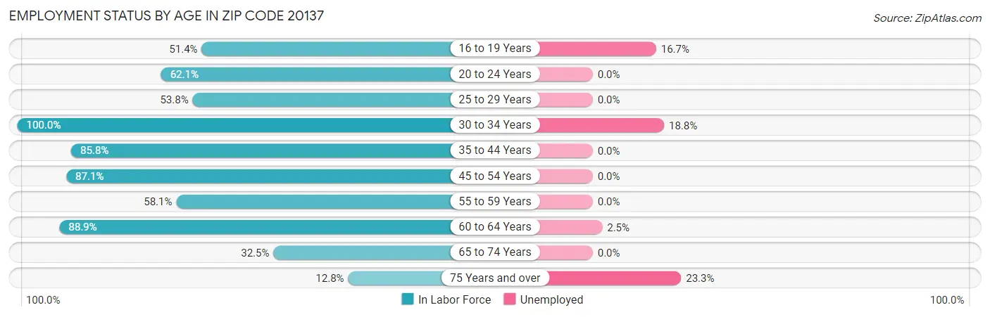 Employment Status by Age in Zip Code 20137