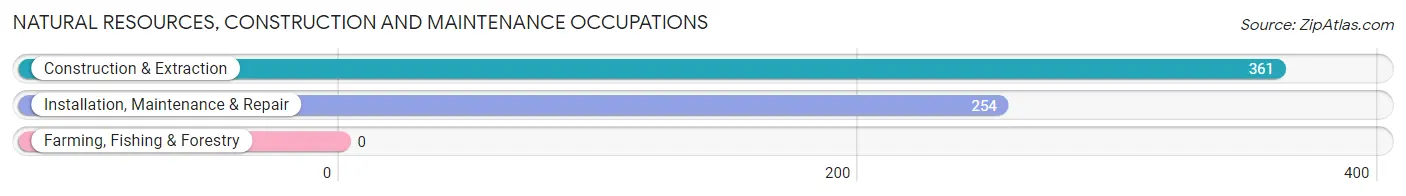 Natural Resources, Construction and Maintenance Occupations in Zip Code 20151