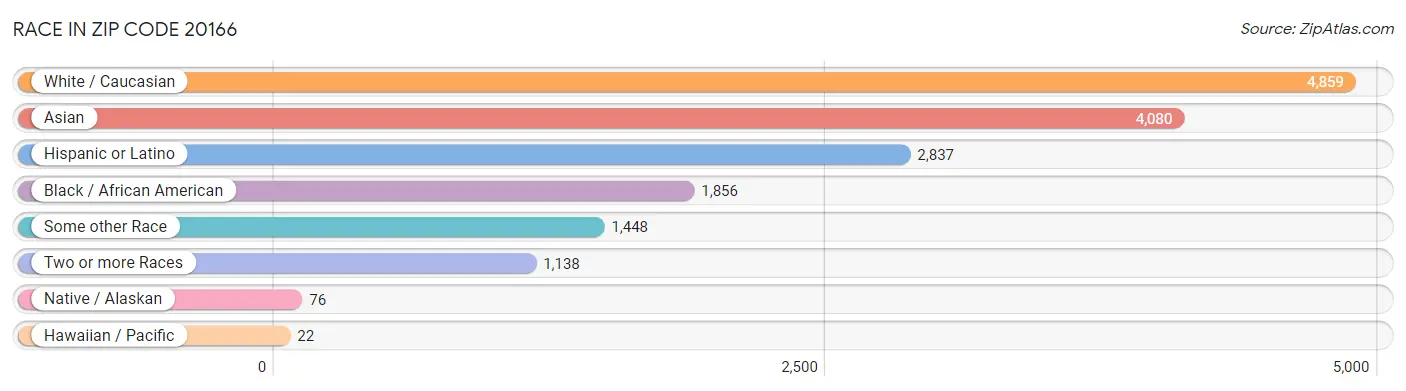 Race in Zip Code 20166