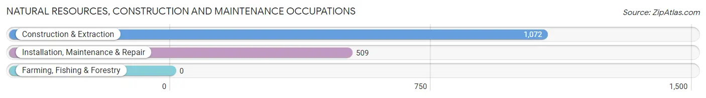 Natural Resources, Construction and Maintenance Occupations in Zip Code 20170