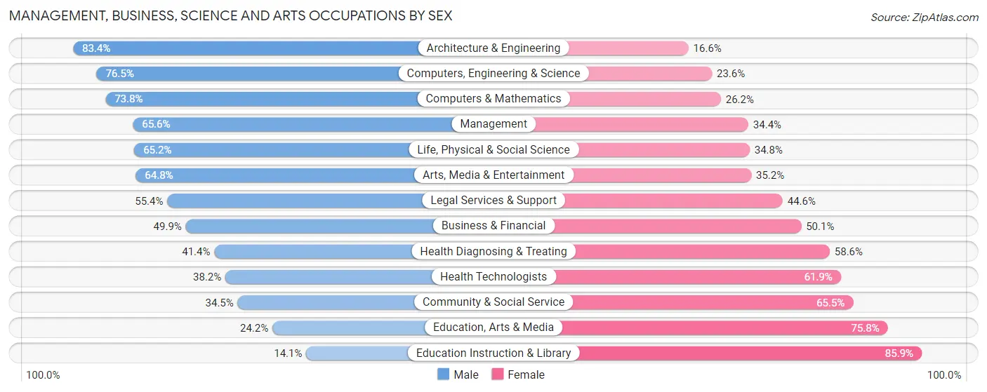 Management, Business, Science and Arts Occupations by Sex in Zip Code 20175