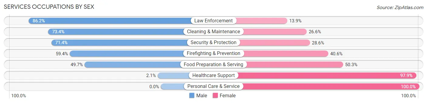 Services Occupations by Sex in Zip Code 20175