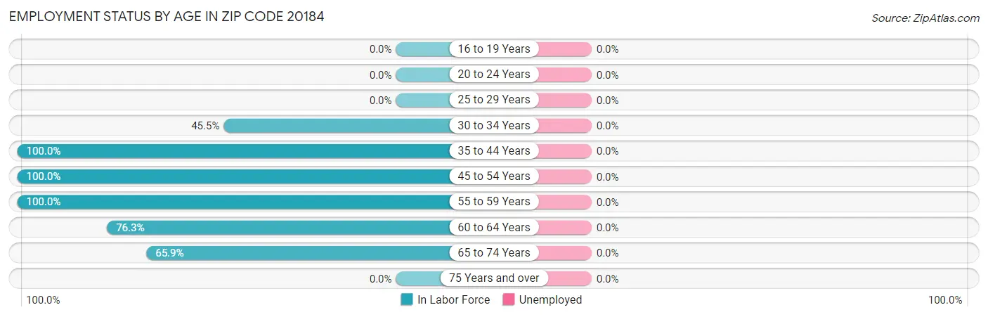 Employment Status by Age in Zip Code 20184