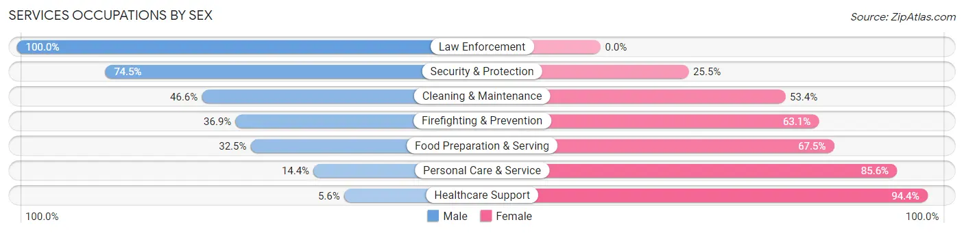 Services Occupations by Sex in Zip Code 20190