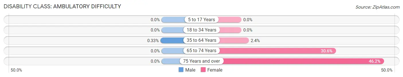 Disability in Zip Code 20197: <span>Ambulatory Difficulty</span>