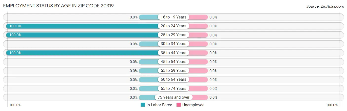 Employment Status by Age in Zip Code 20319
