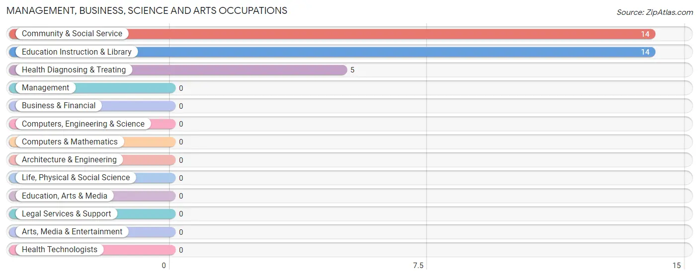 Management, Business, Science and Arts Occupations in Zip Code 20390