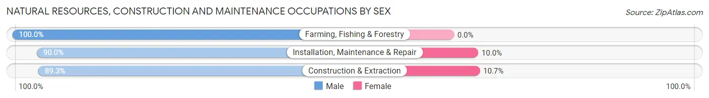 Natural Resources, Construction and Maintenance Occupations by Sex in Zip Code 20601