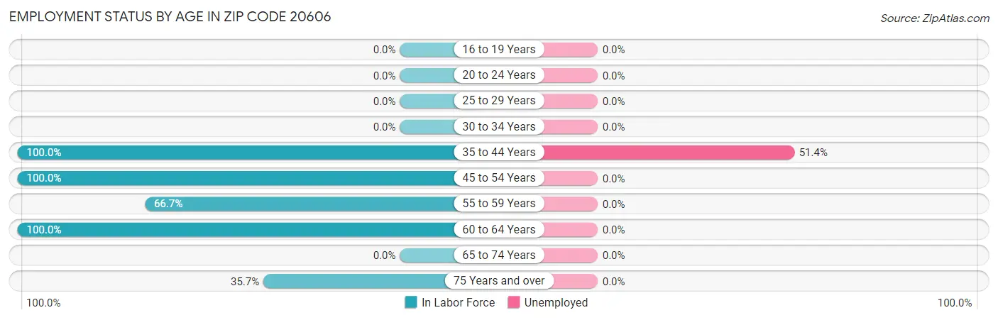 Employment Status by Age in Zip Code 20606