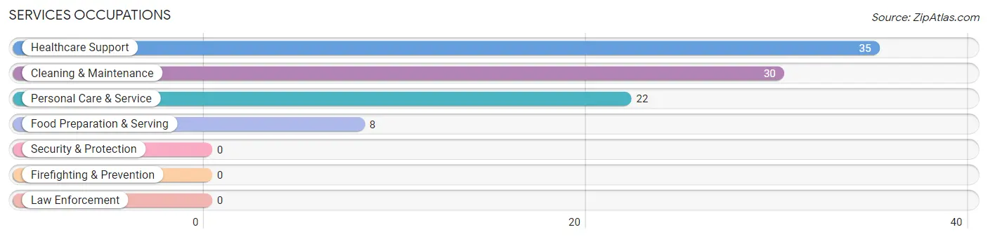 Services Occupations in Zip Code 20609