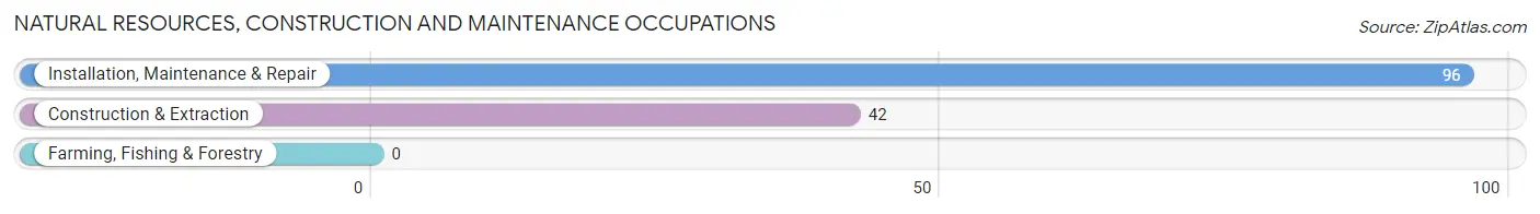 Natural Resources, Construction and Maintenance Occupations in Zip Code 20618