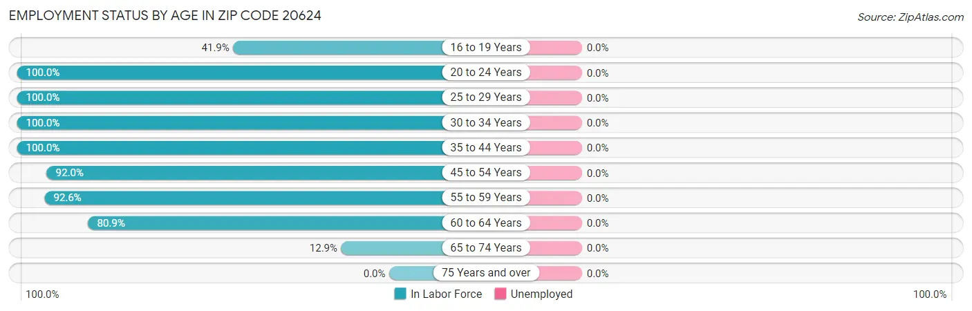 Employment Status by Age in Zip Code 20624