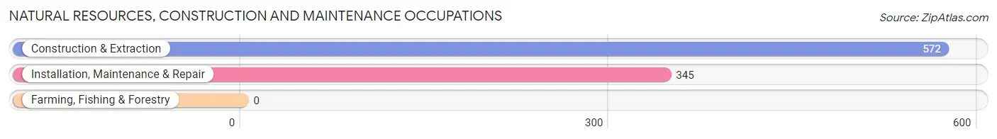 Natural Resources, Construction and Maintenance Occupations in Zip Code 20639