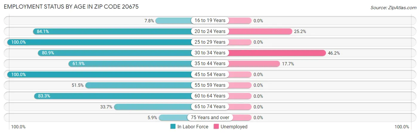 Employment Status by Age in Zip Code 20675