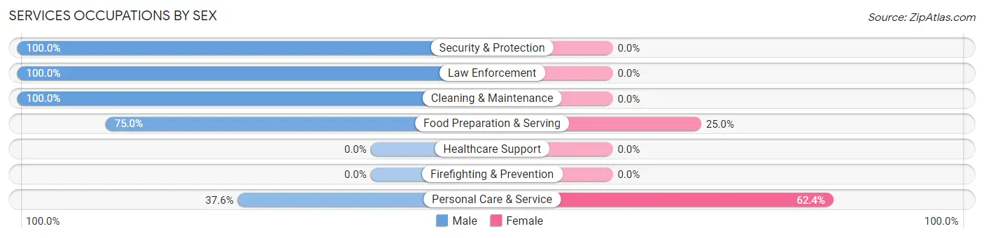 Services Occupations by Sex in Zip Code 20676